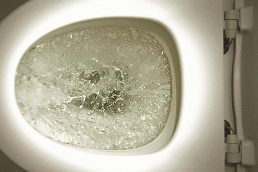 flushing toilet