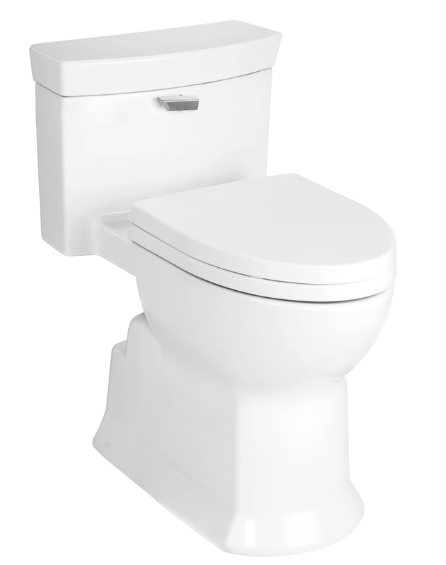 washdown toilet