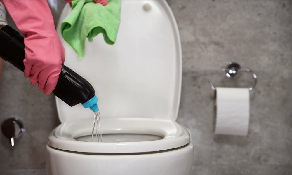 toilet cleaning