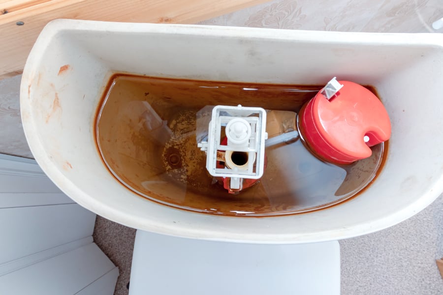 brown water in toilet tank