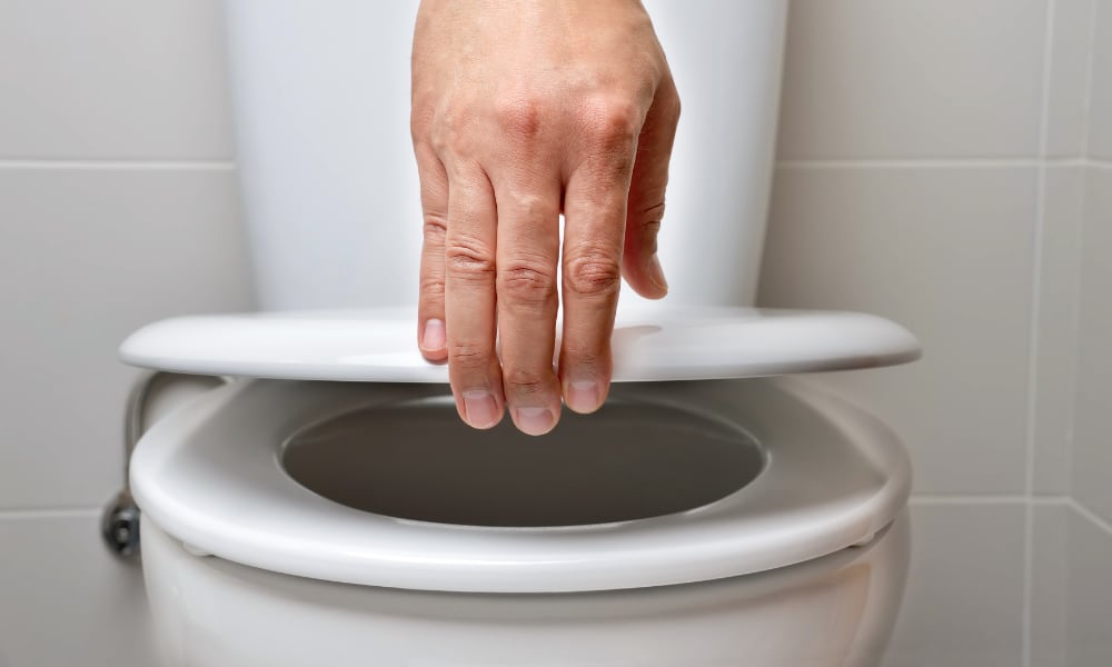 opening toilet lid