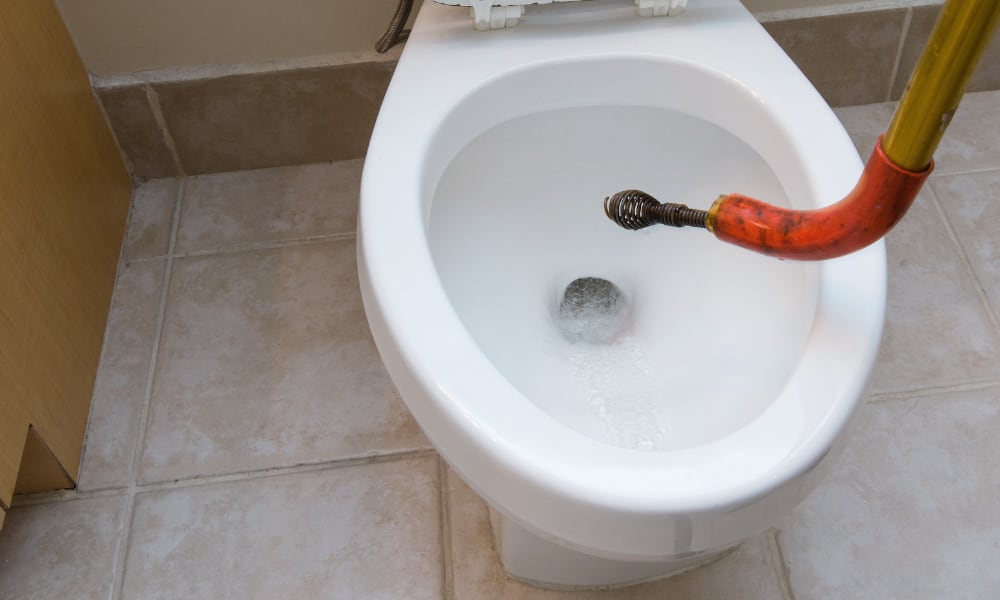 toilet auger