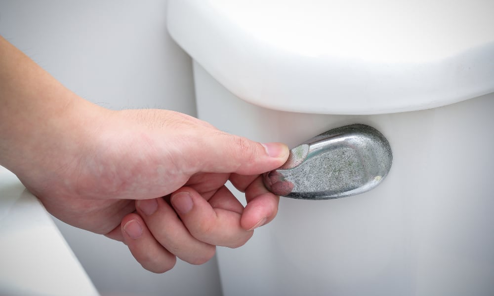 toilet flush handle