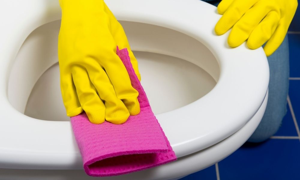 cleaning toilet seat