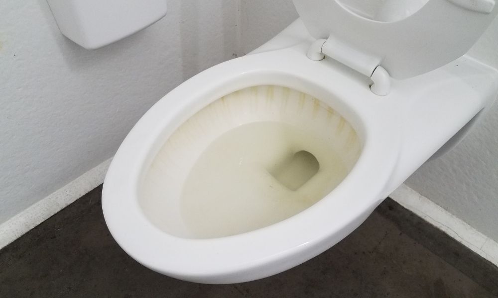 How to Remove Hard Water Stains From a Toilet? 5