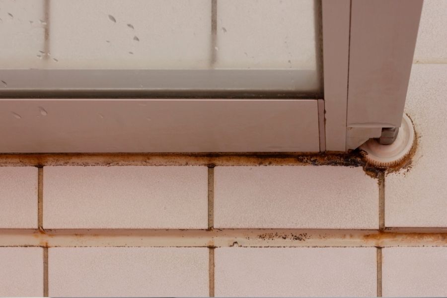 mold on shower caulk