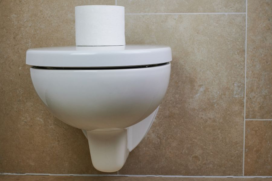 wall mounted toilet